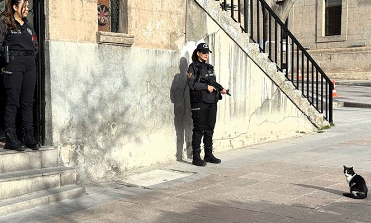 Polisleri nöbette yalnız bırakmayan kedi