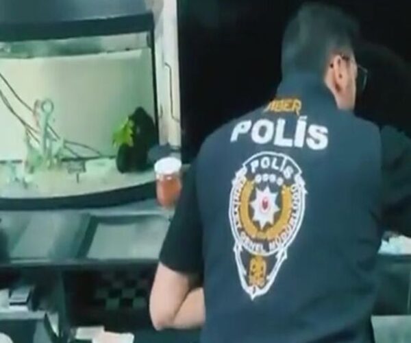 Siber Suçlarla Mücadele Kapsamında 170 Şüpheli Yakalandı