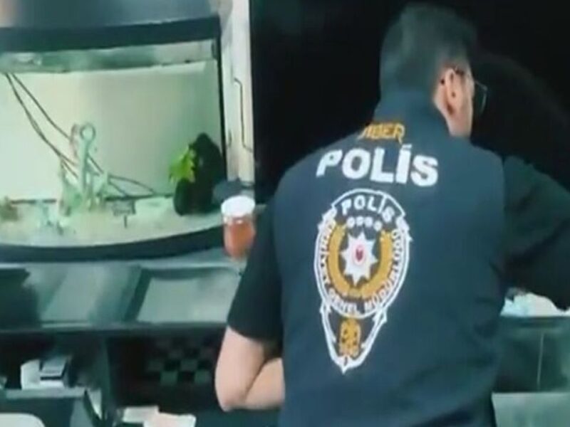 Siber Suçlarla Mücadele Kapsamında 170 Şüpheli Yakalandı